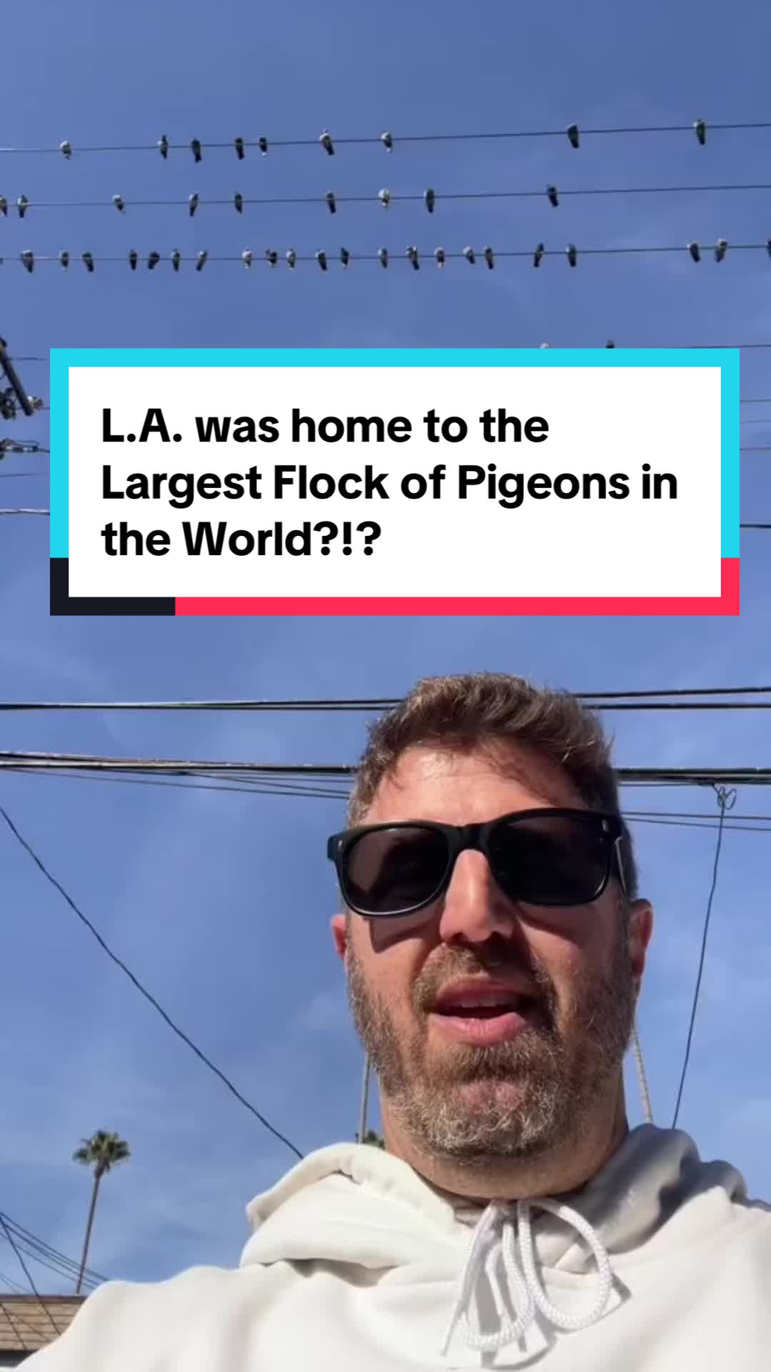 @L.A. in a Minute