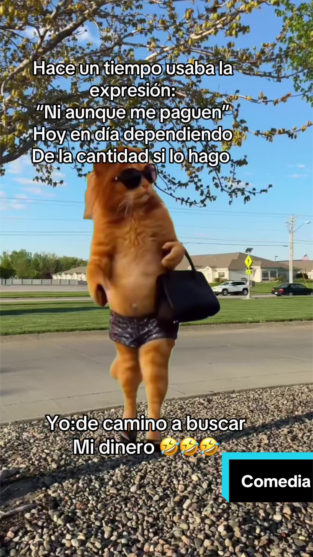 @Yohandragonz