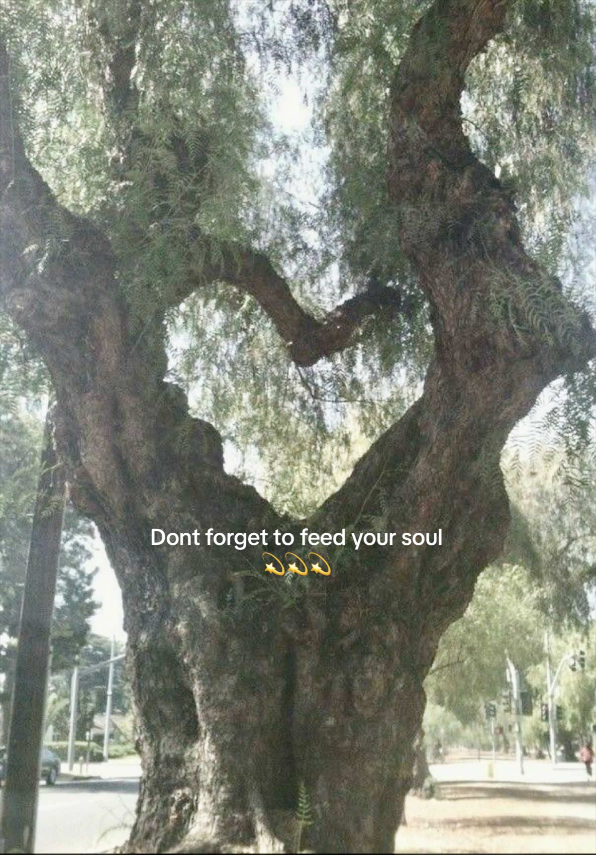 @emalinevintage