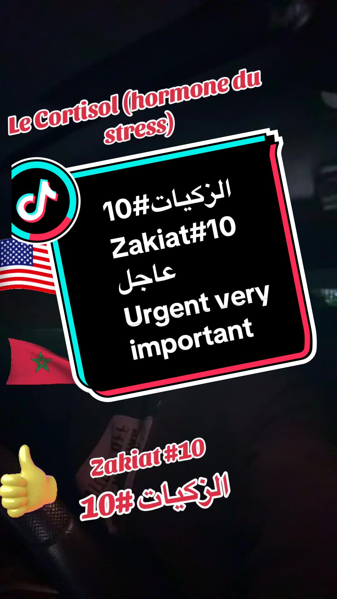 @SIMO-USA (سيمو-امريكا) !