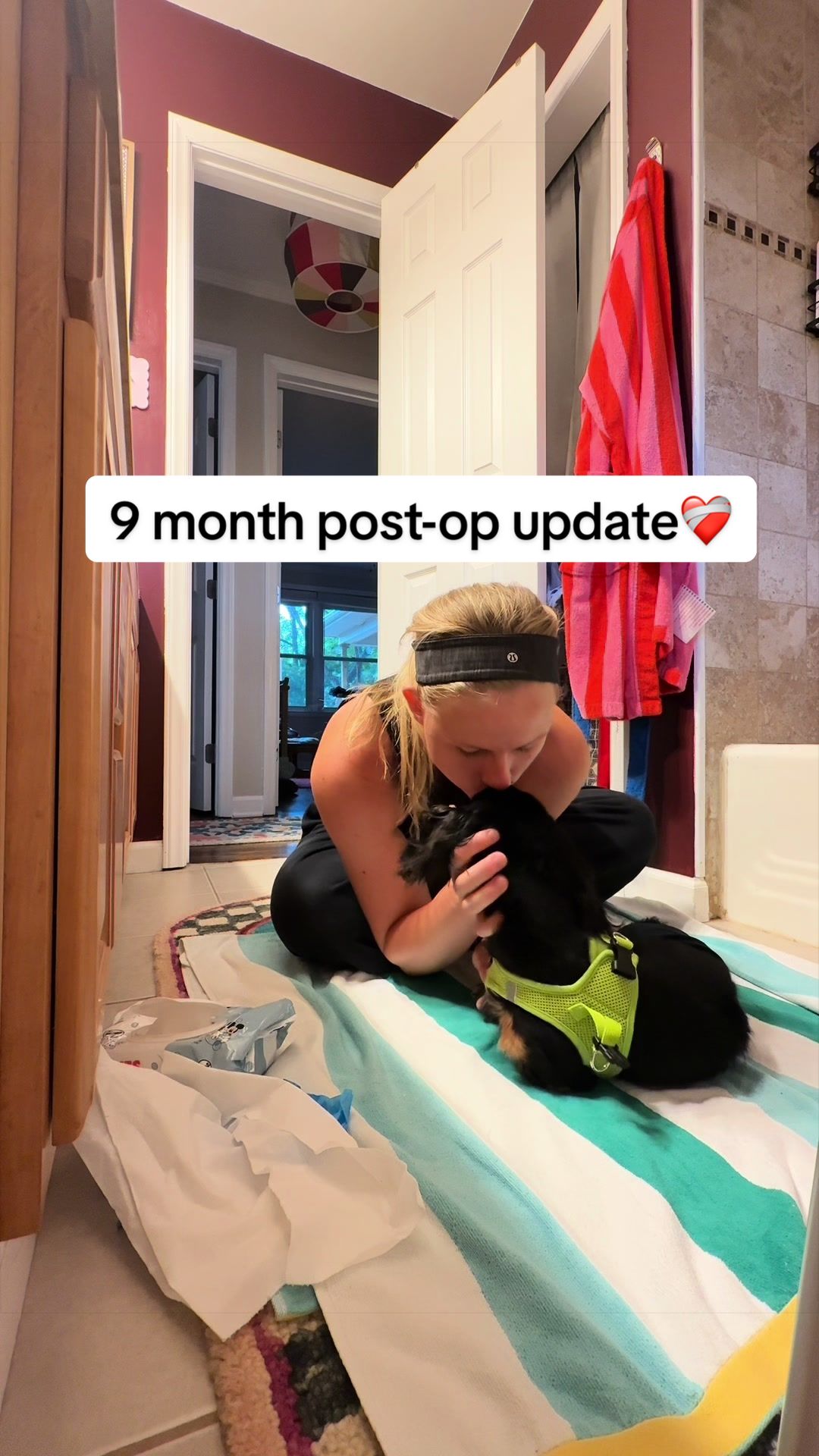 @Henry the mini dachshund