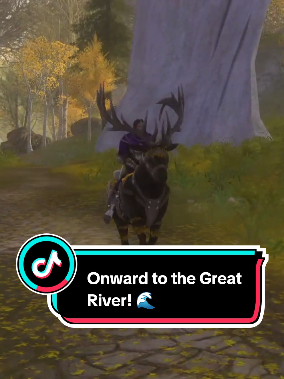 @raphaelol | LiterallyLOTRO