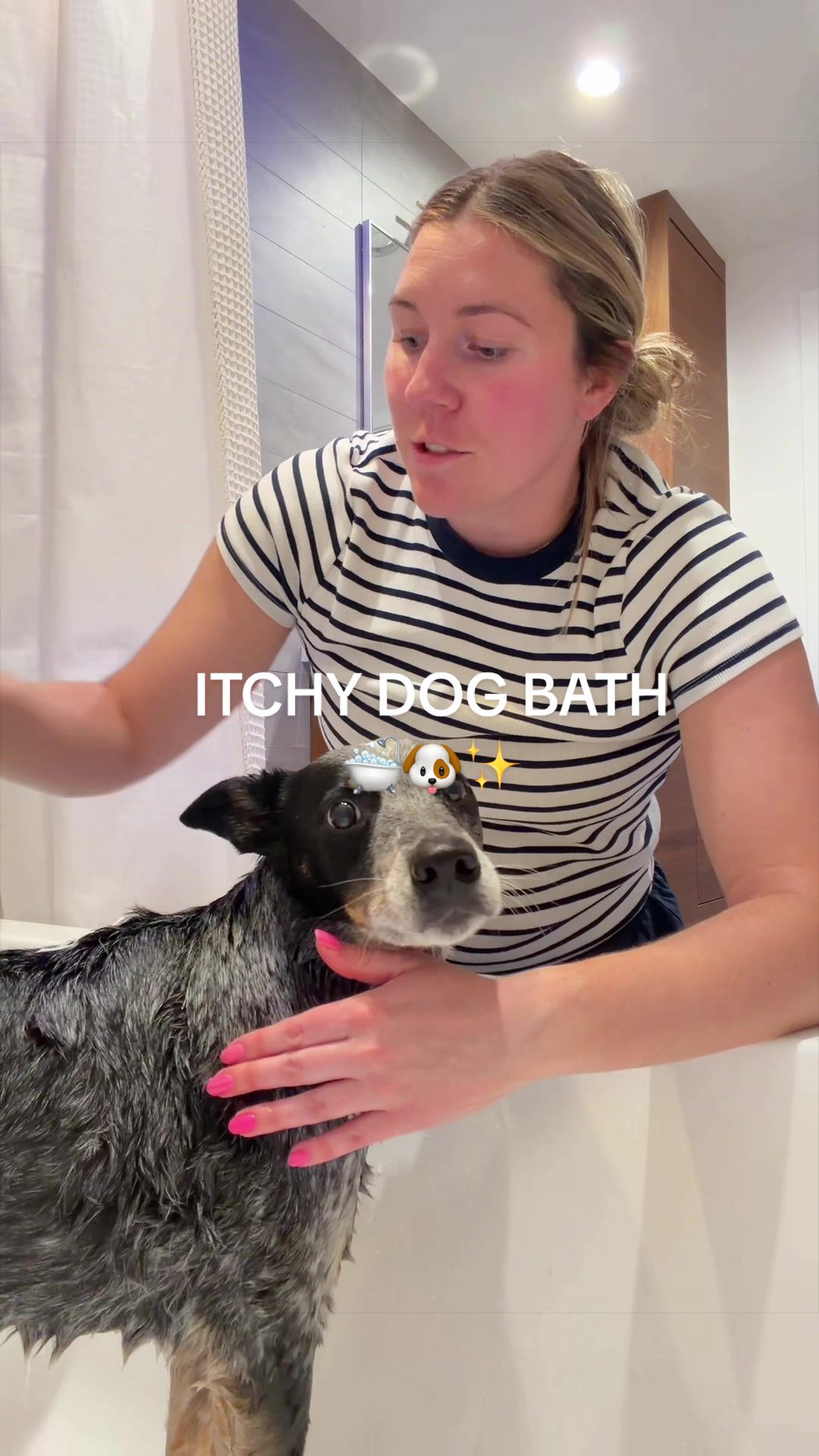 @The Z Cattle Dogs