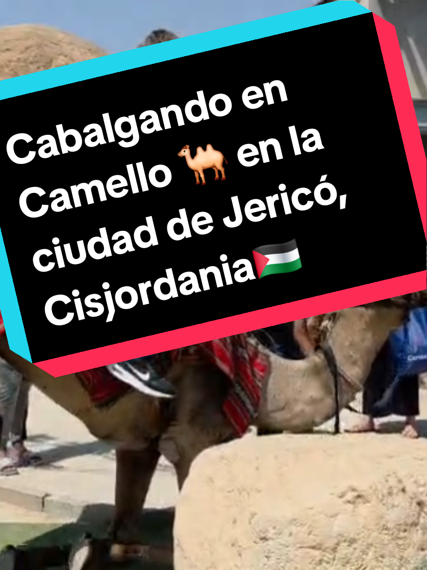 @Miguel S&aacute;nchez &Aacute;vila