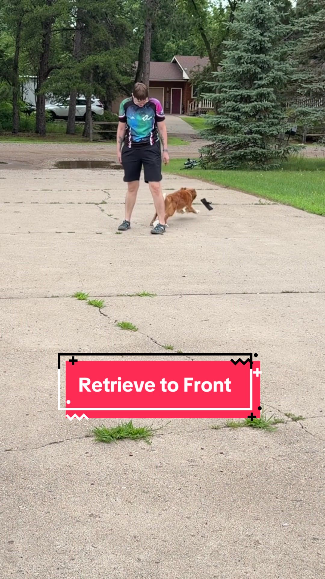 @Laura Waudby - Dog Sports