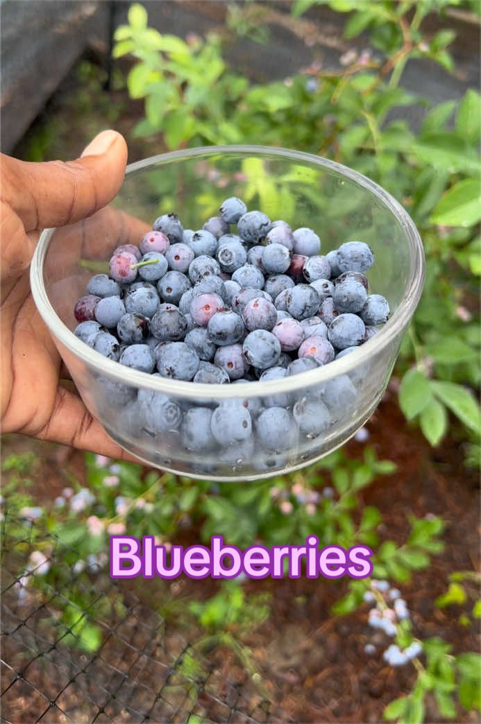 @Gardening4ME