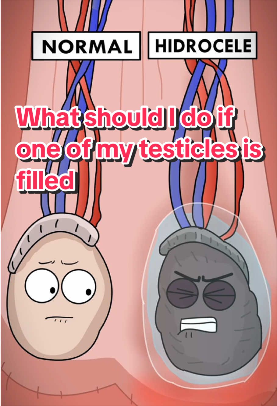 @Funny Animations