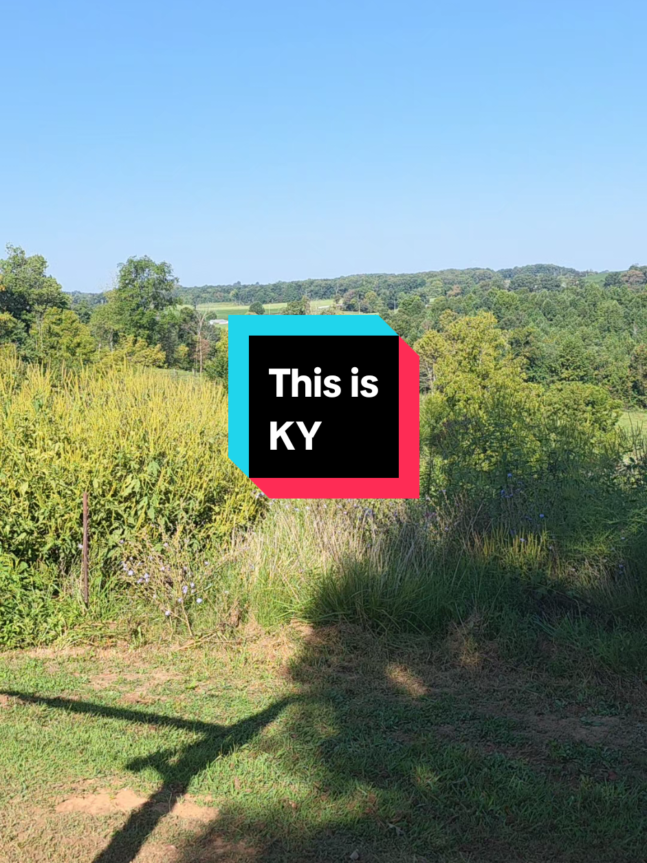 @Life Built in KY