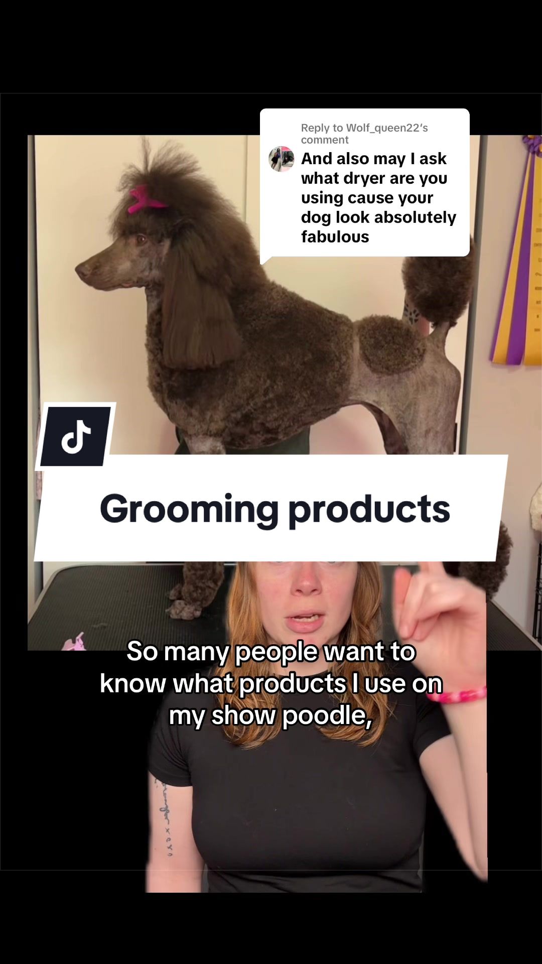@Maddie, Jovie & Nessie🤍🤎🐩