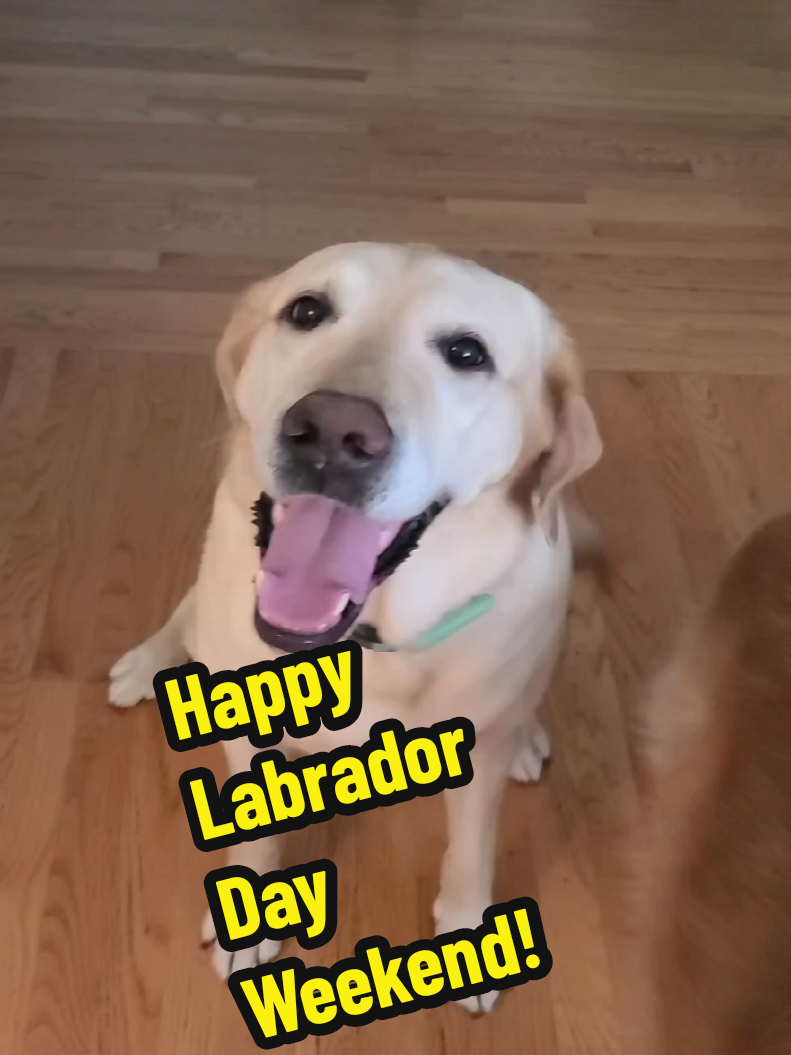 @fat_lab_productions
