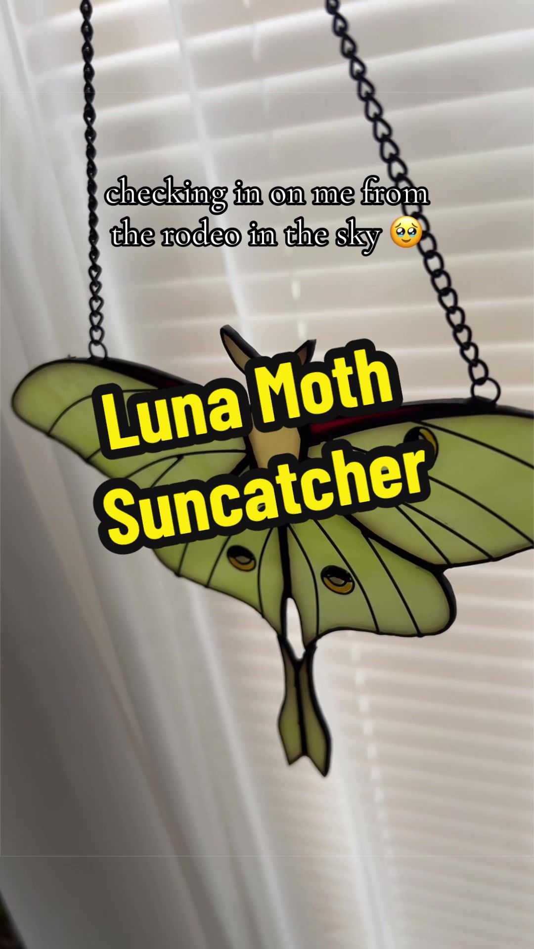@sunbeamsanctuary