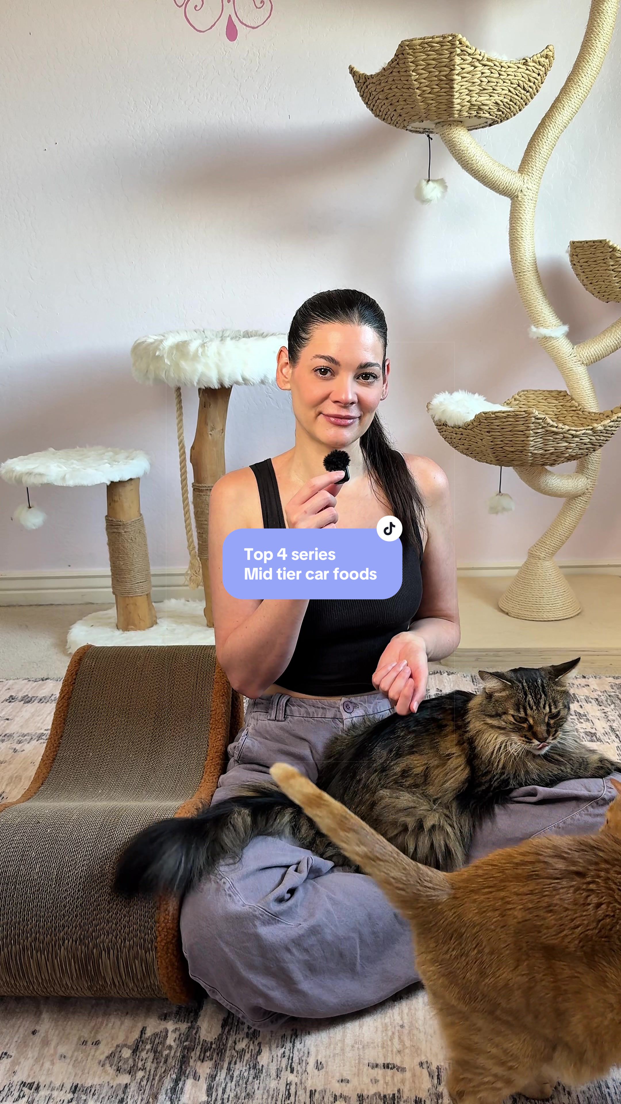 @Feminist Kitty | Cat Nutrition