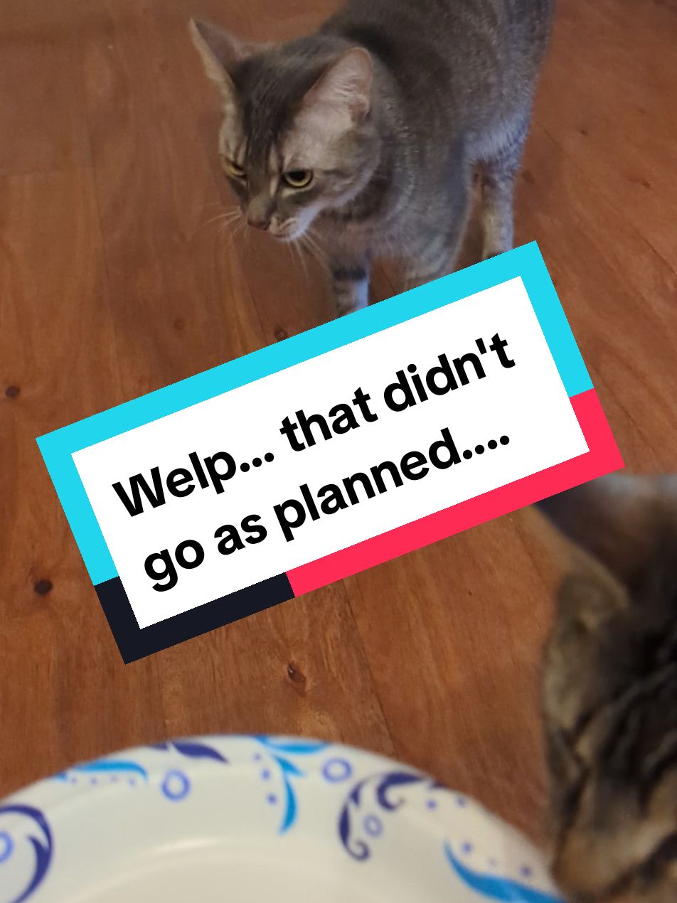 @Mommadrama101