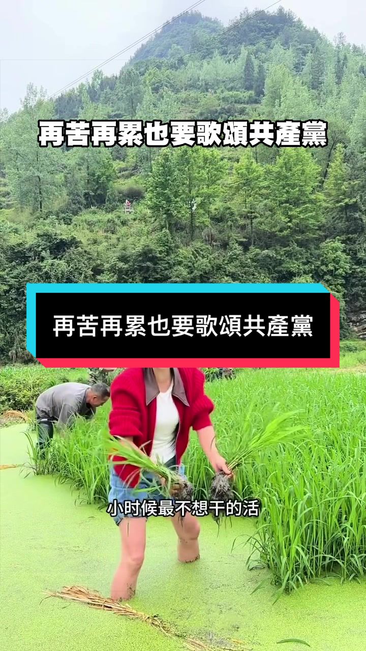 @自由福建8964抵制大一統-中共獨裁者FengZhou