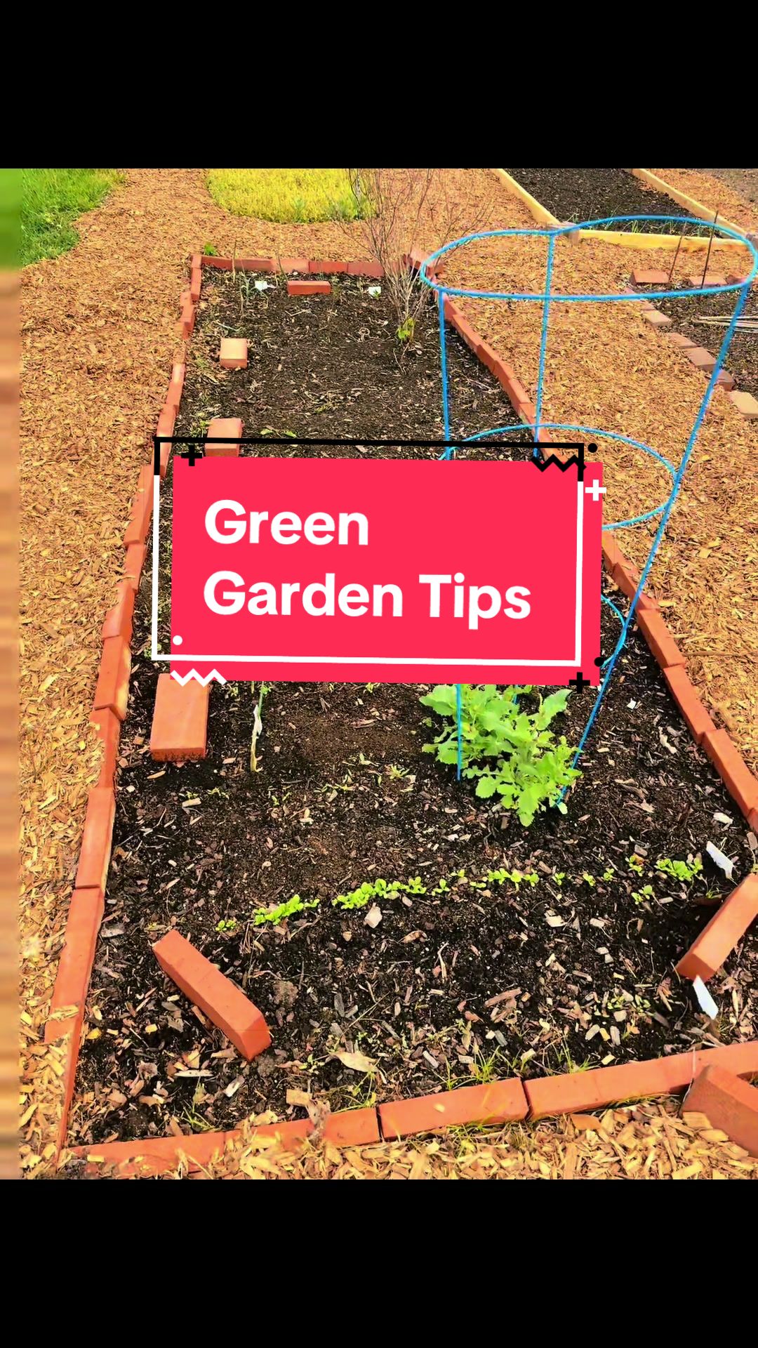 @greengirlgardens