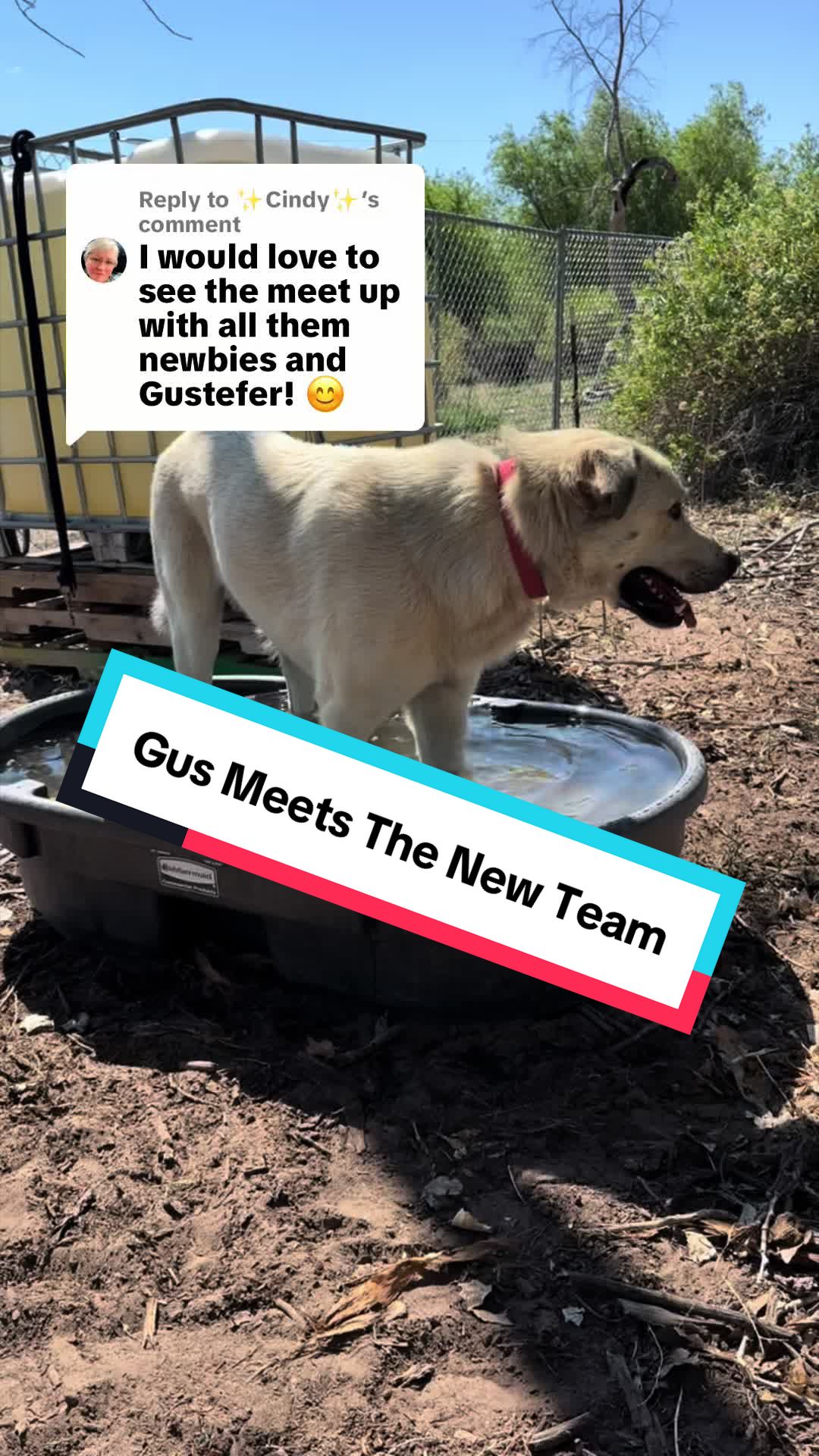@cowboymax