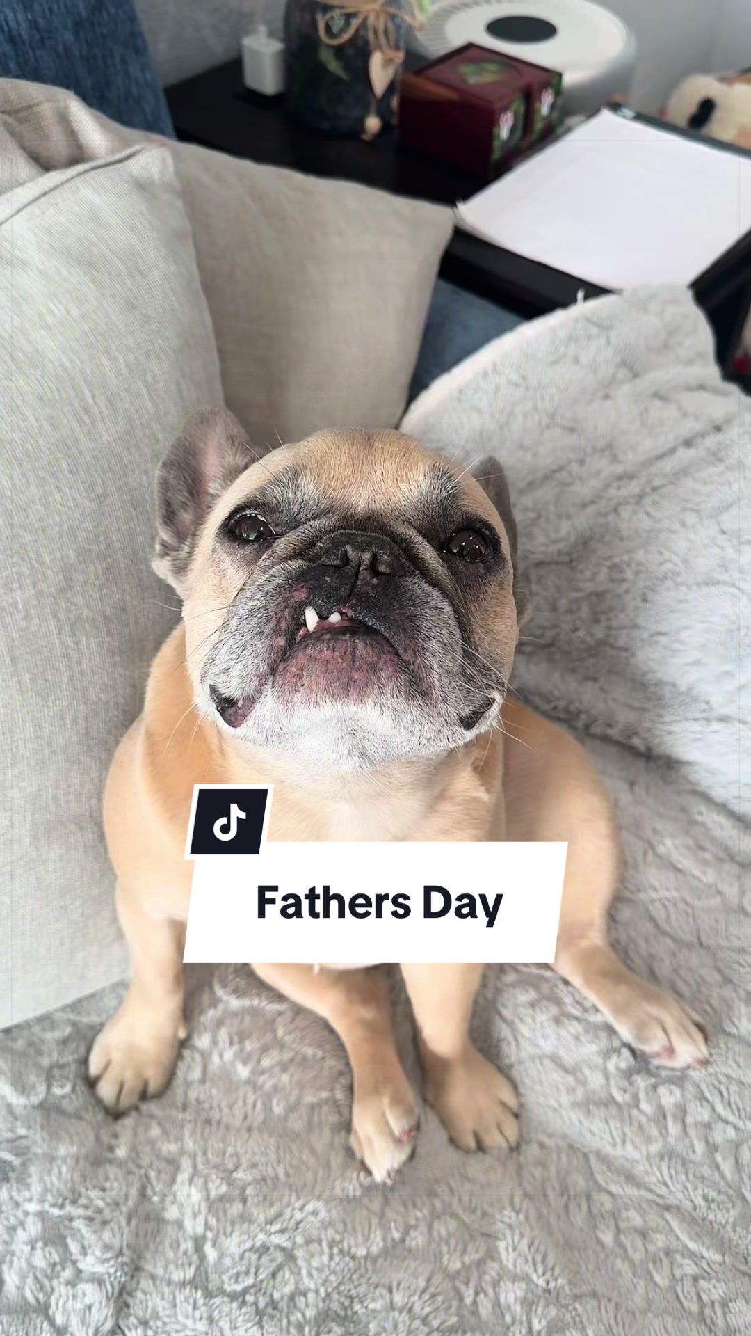 @Somefrenchienamedapollo