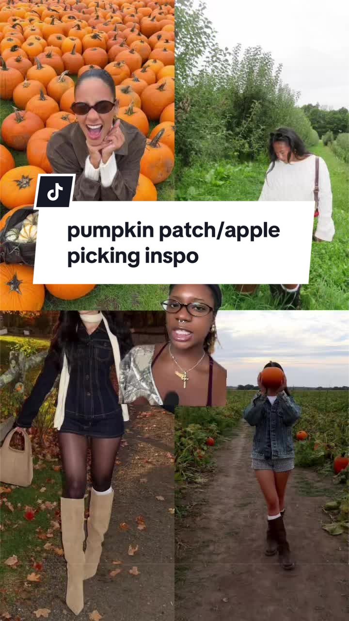 @nic 𓆩✧𓆪