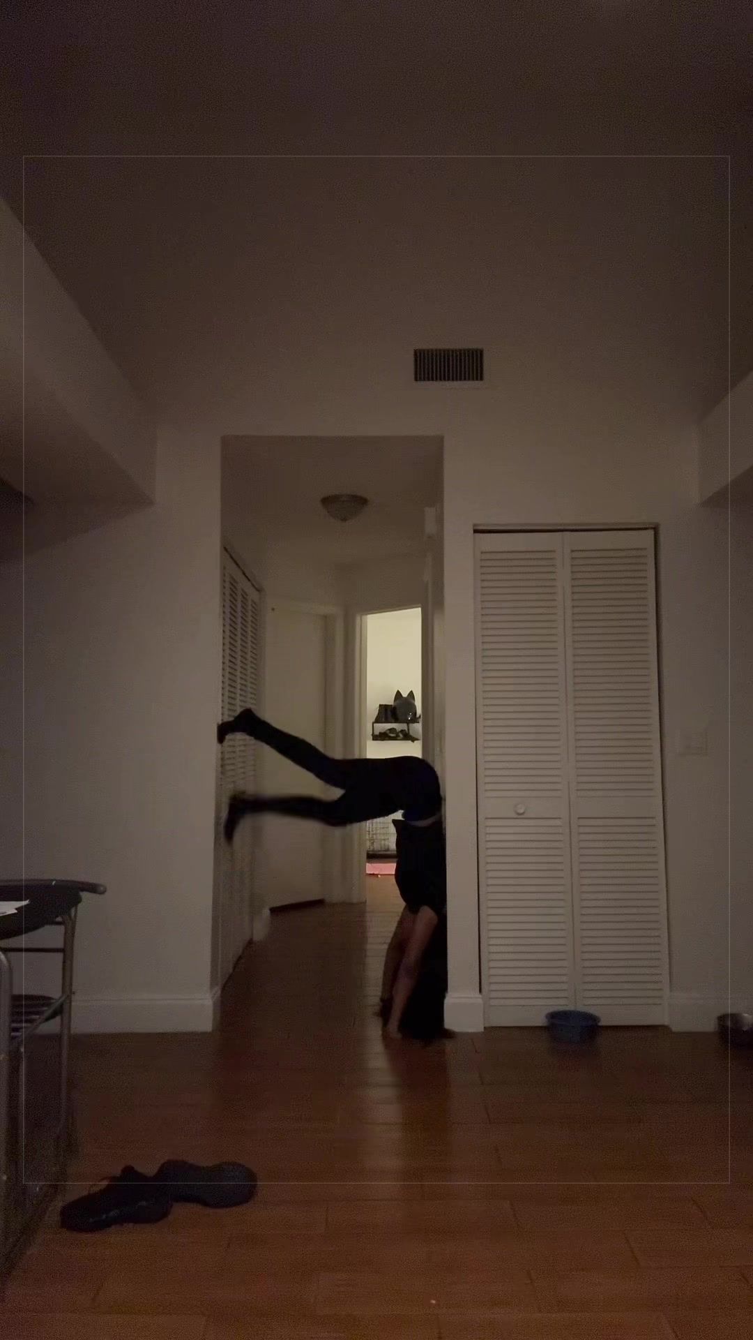 @michelle 🦇