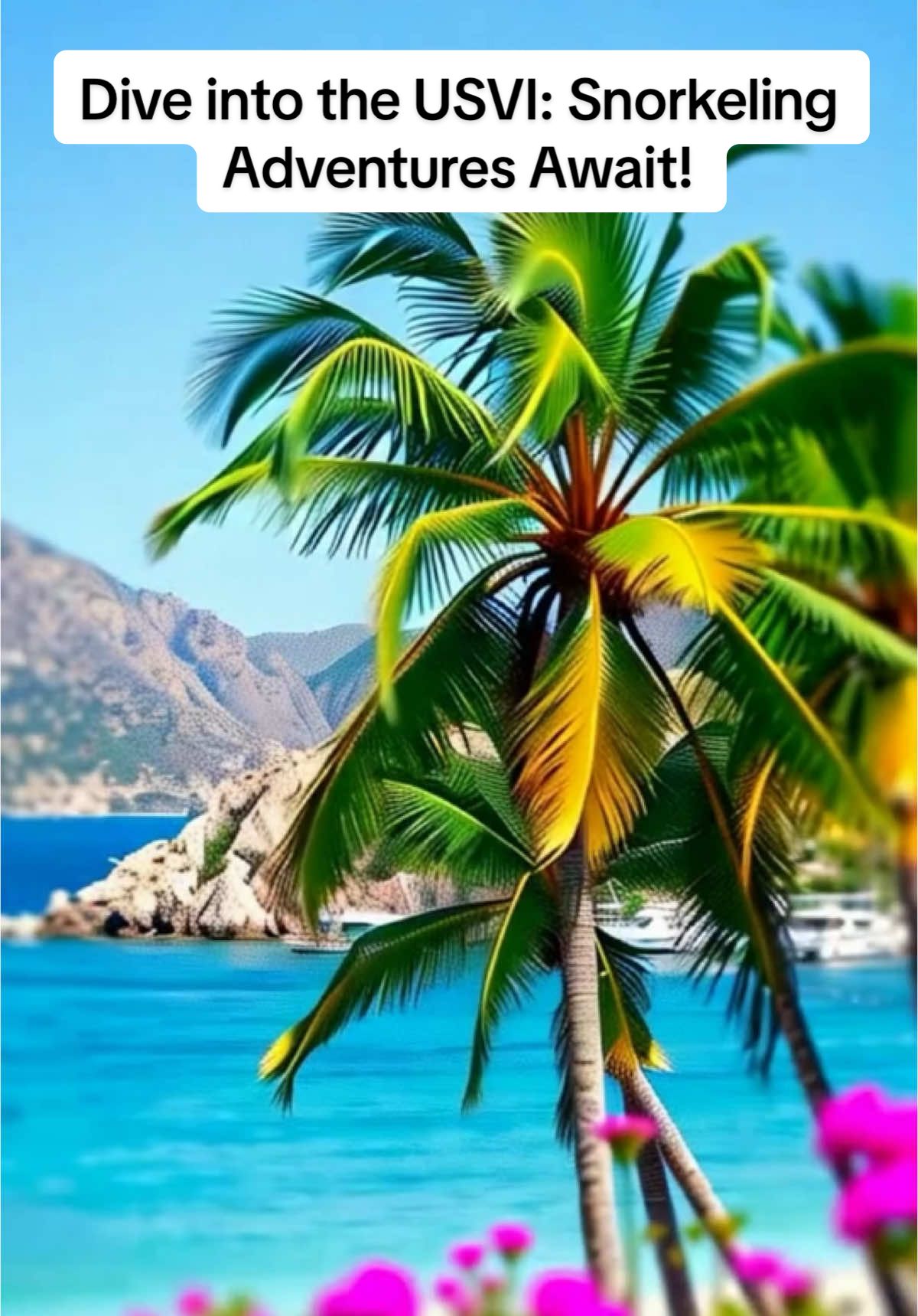 @caribbean_chronicles
