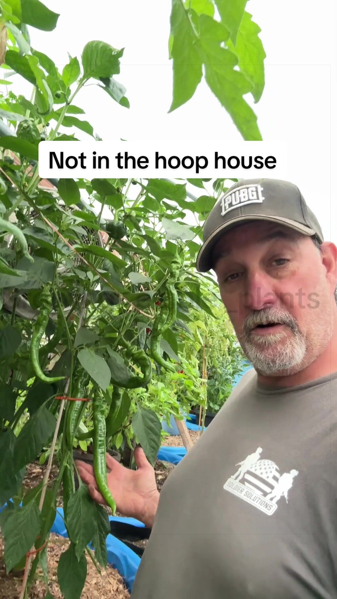 @GROWING_EDIBLE_PLANTS