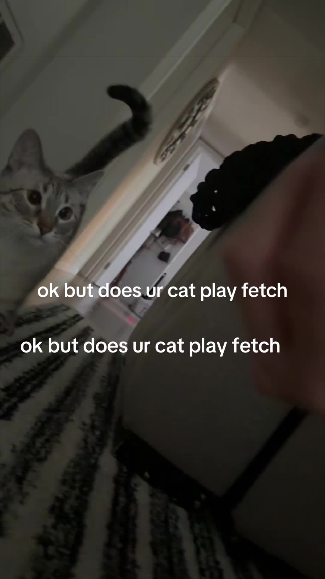 @magsmaggie