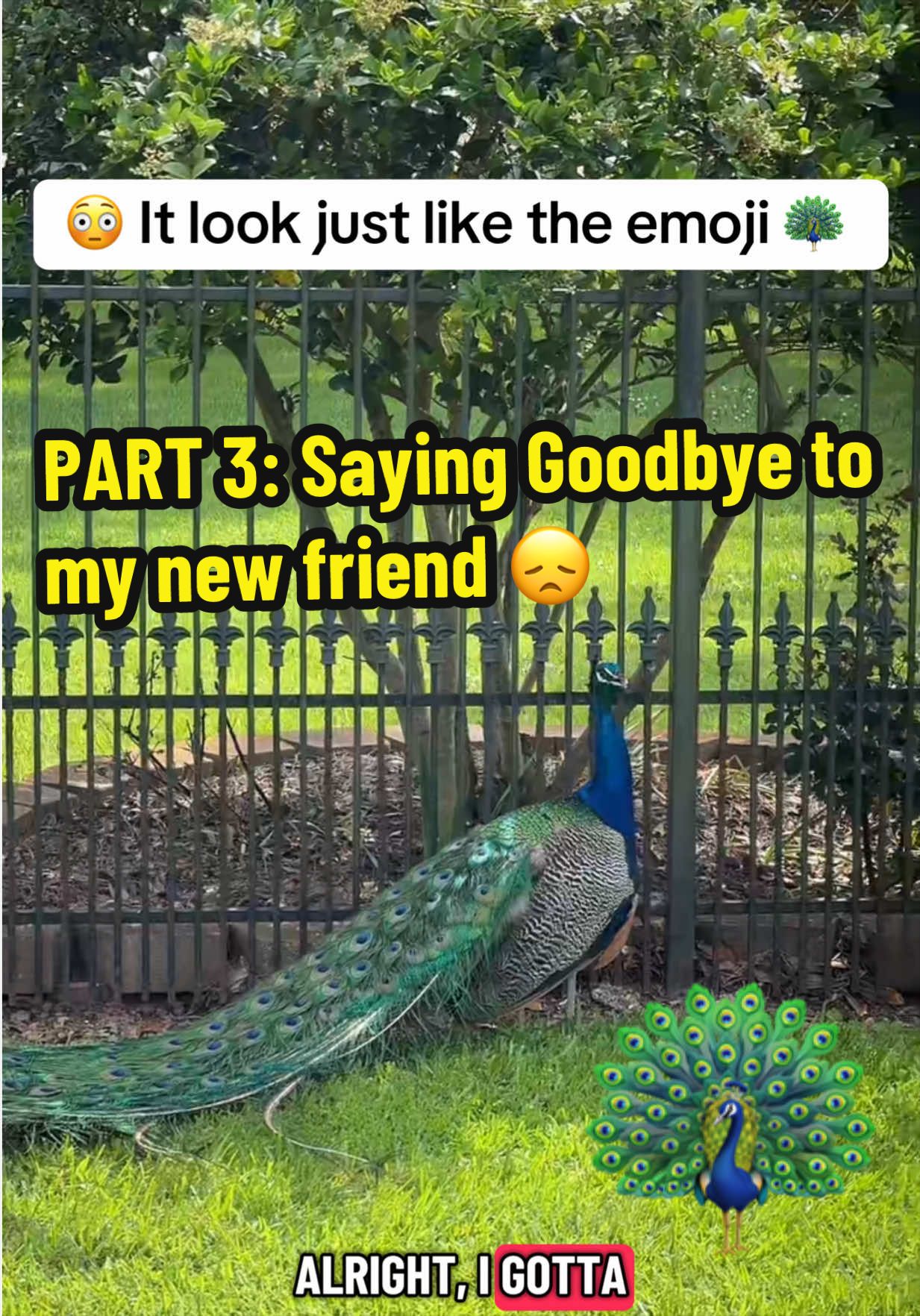 @bossdvincii