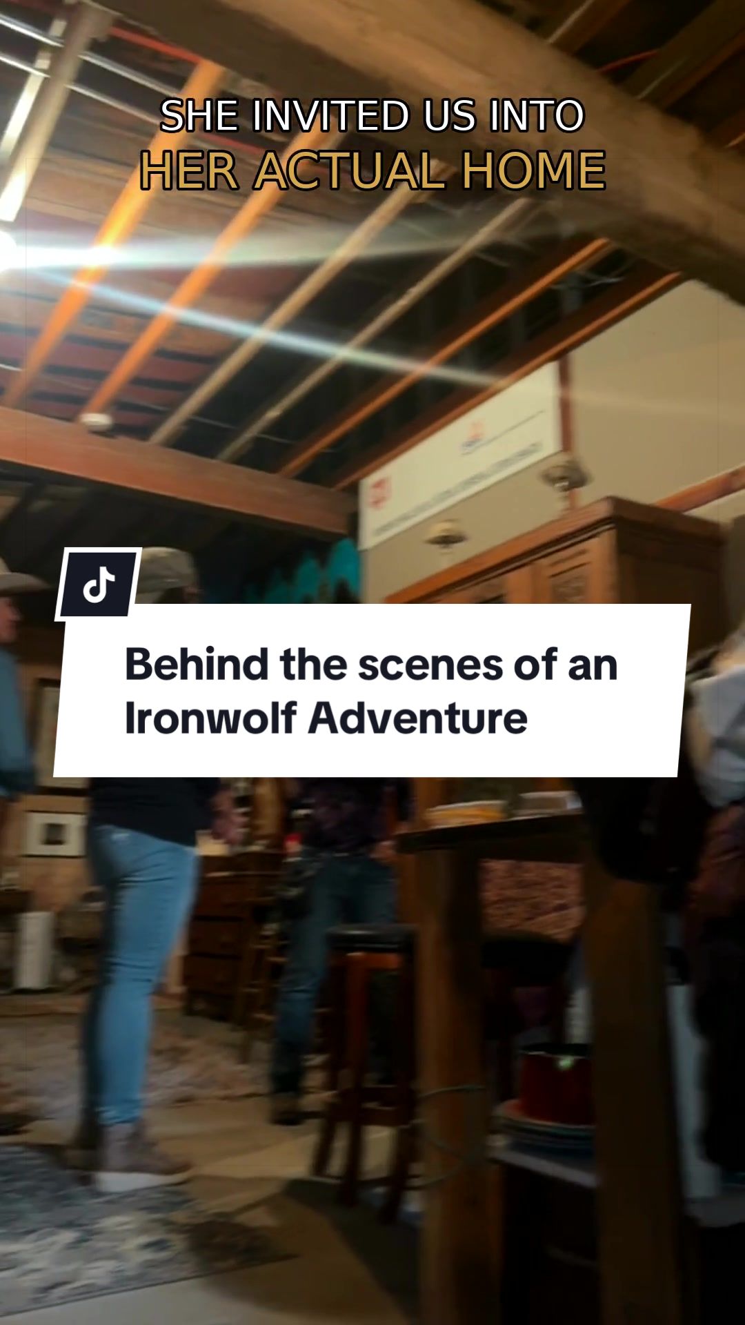 @The Ironwolf Project