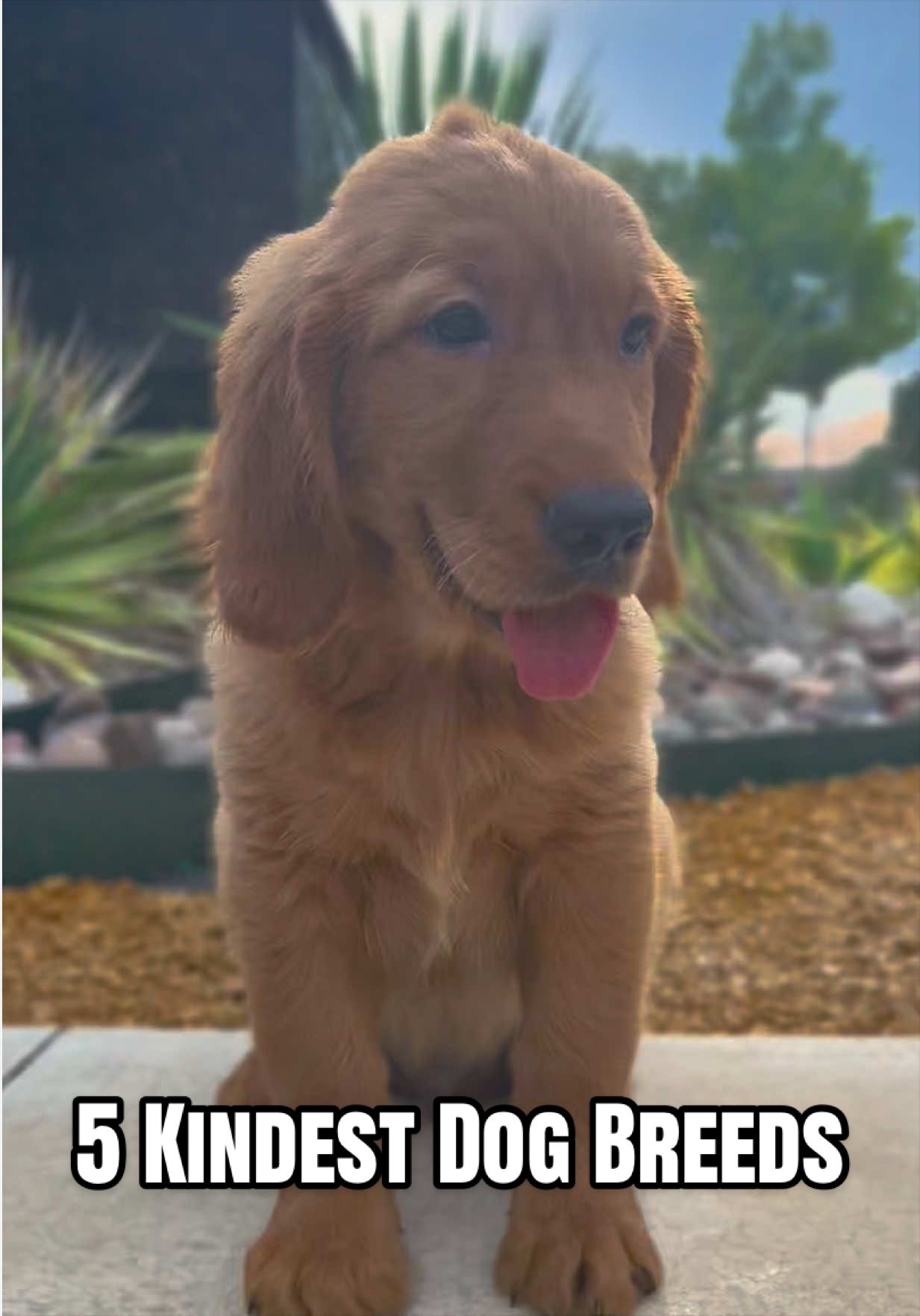 @Petland Oklahoma City