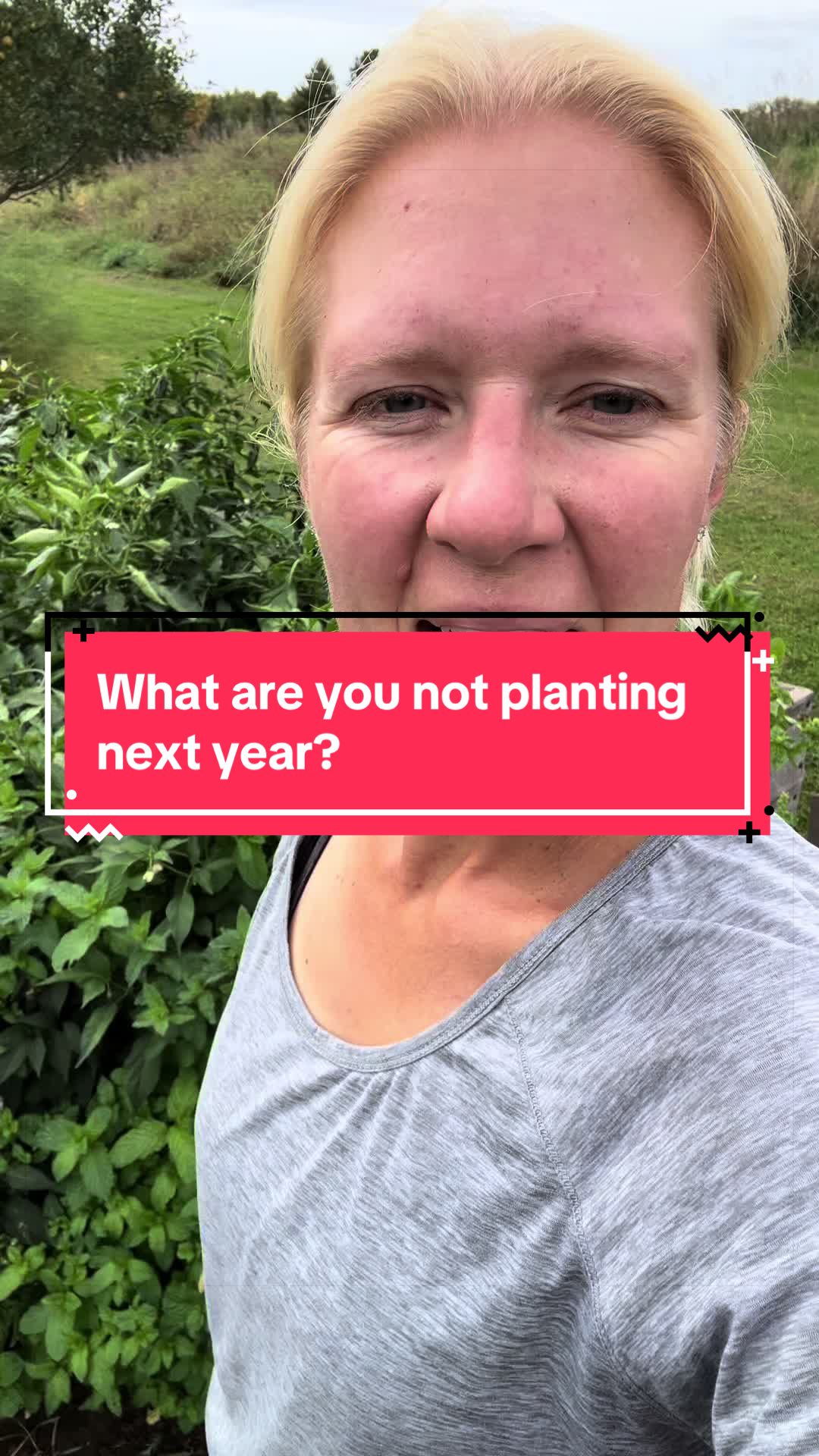 @littlesandycreekfarm