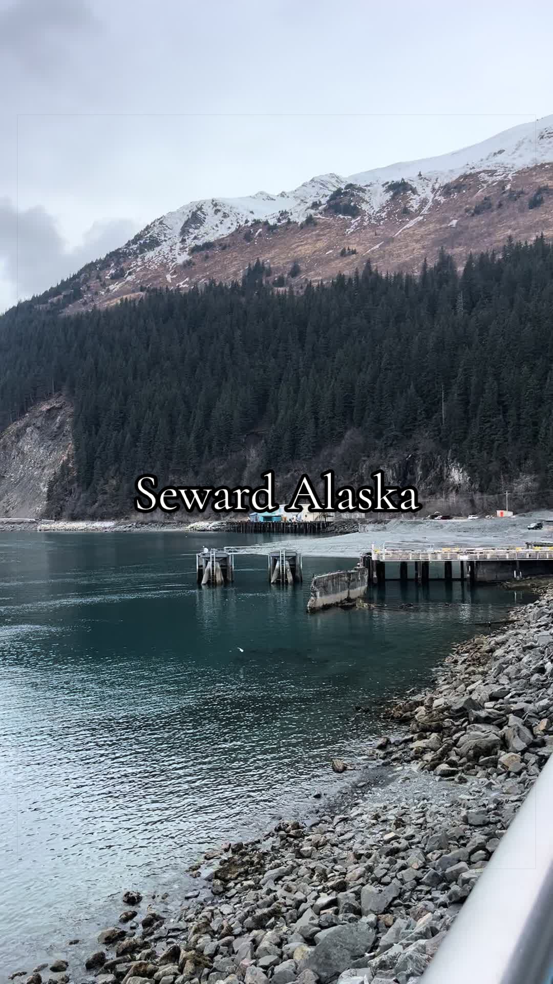 @Chasey Campbell 🏔️🕷️🐾