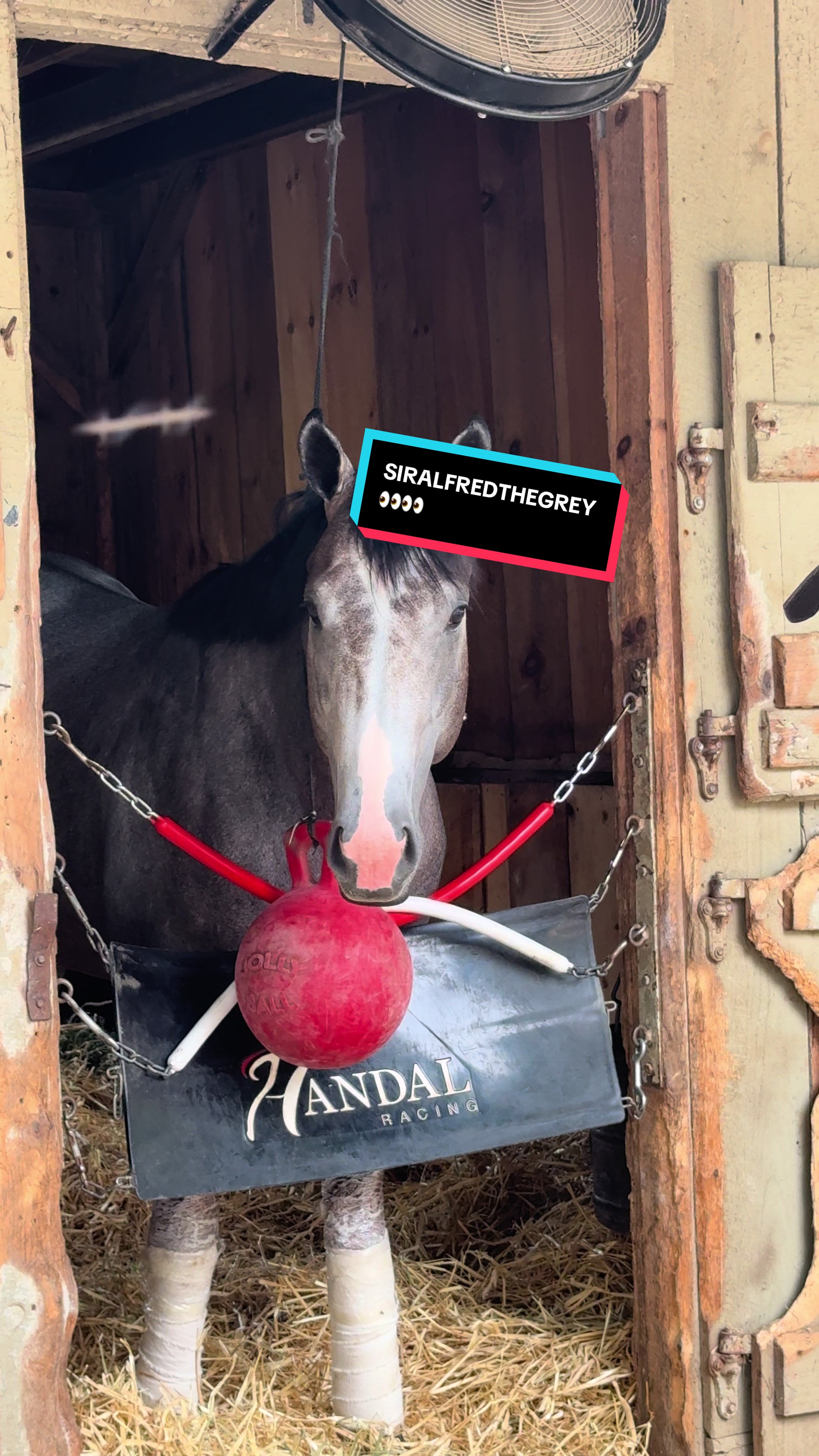 @NYRA