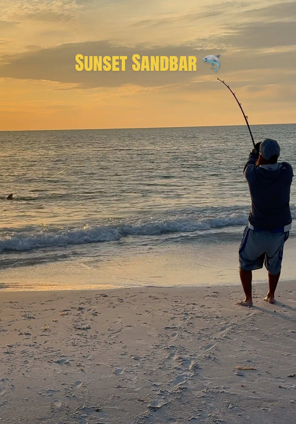 @HookedOnSharksLLC