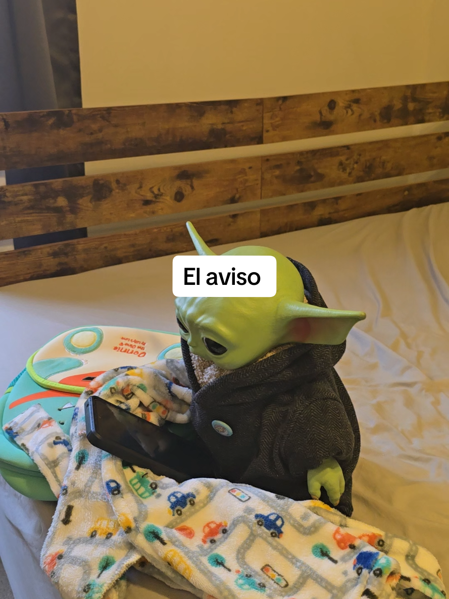 @Yoditabeibi (USA)