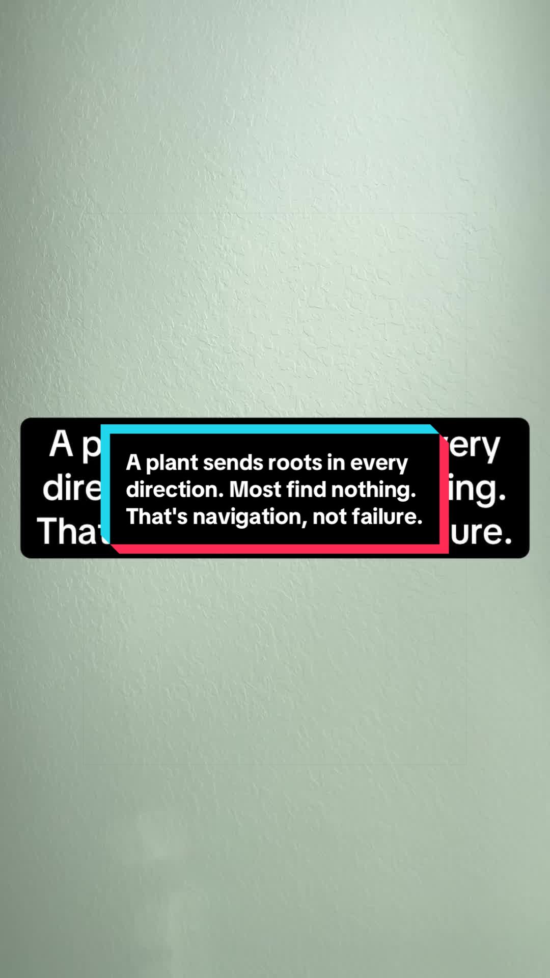 @OfficialAmos