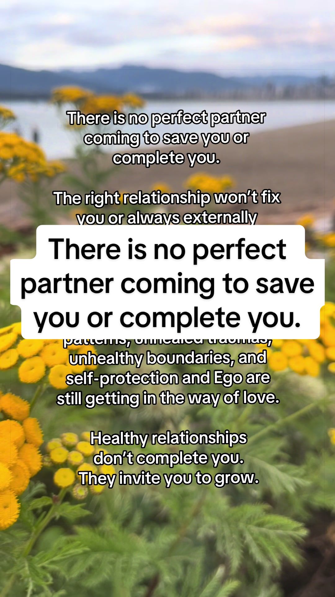 @Erica | Relationship Coach IFS