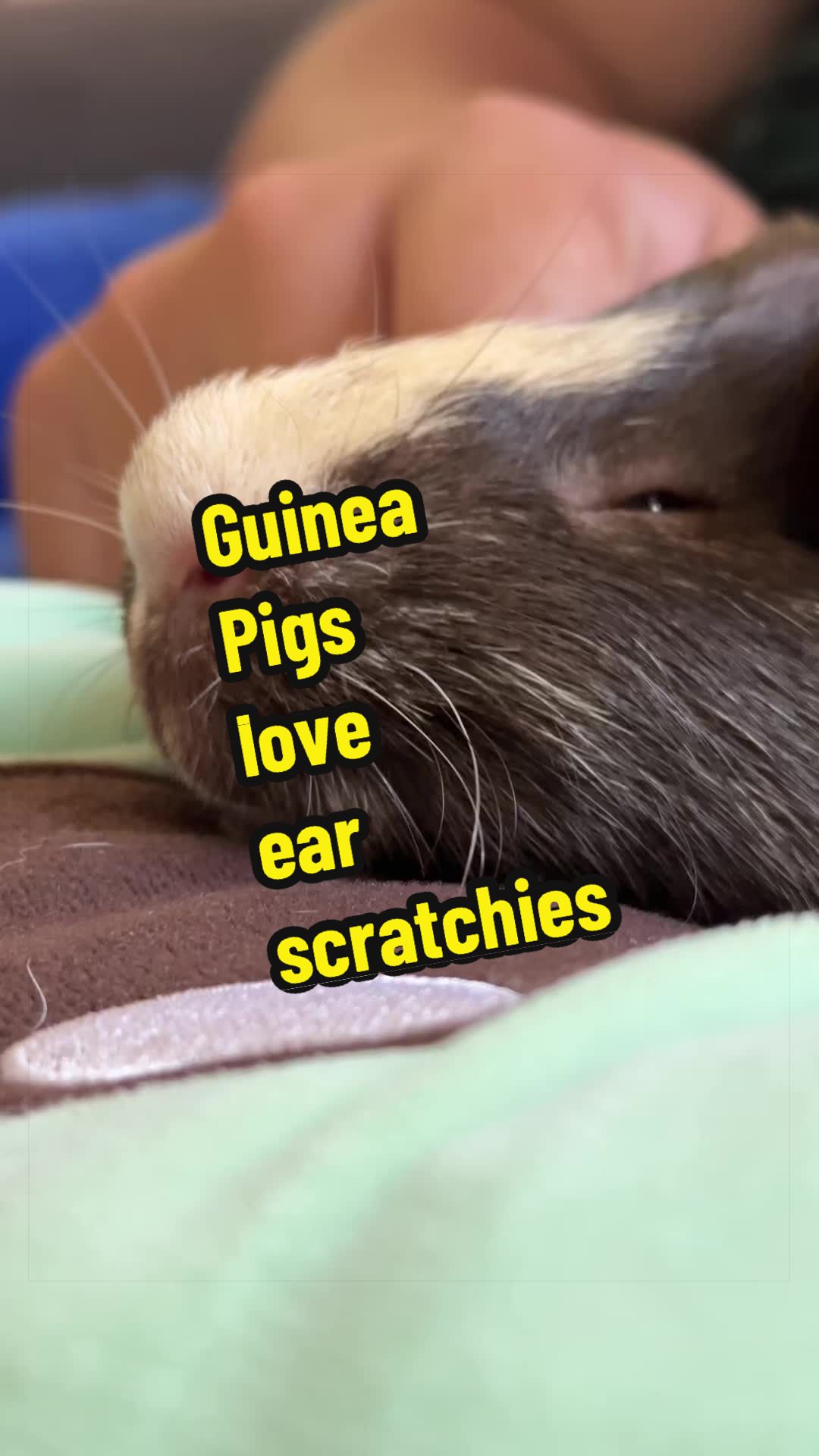 @ᏫᏫᏥᎯᎥᎽᎯᏲ