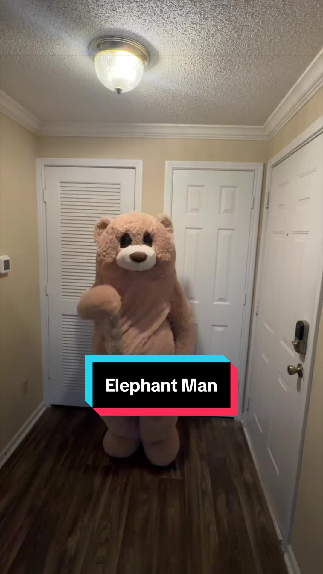 @jaythedancingbear