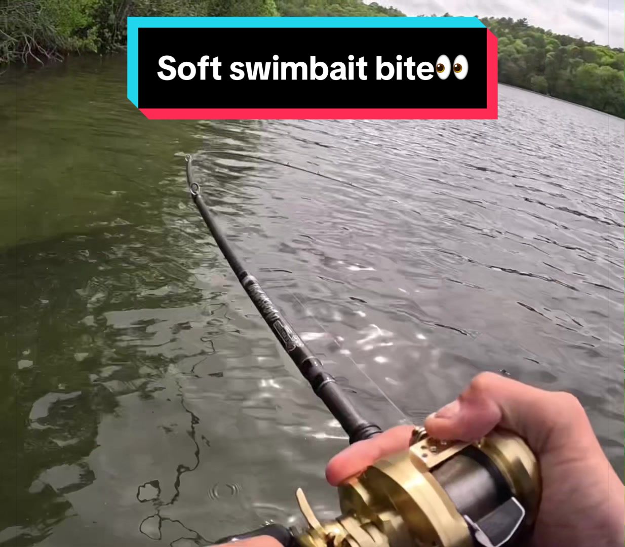 @sams.fishing_