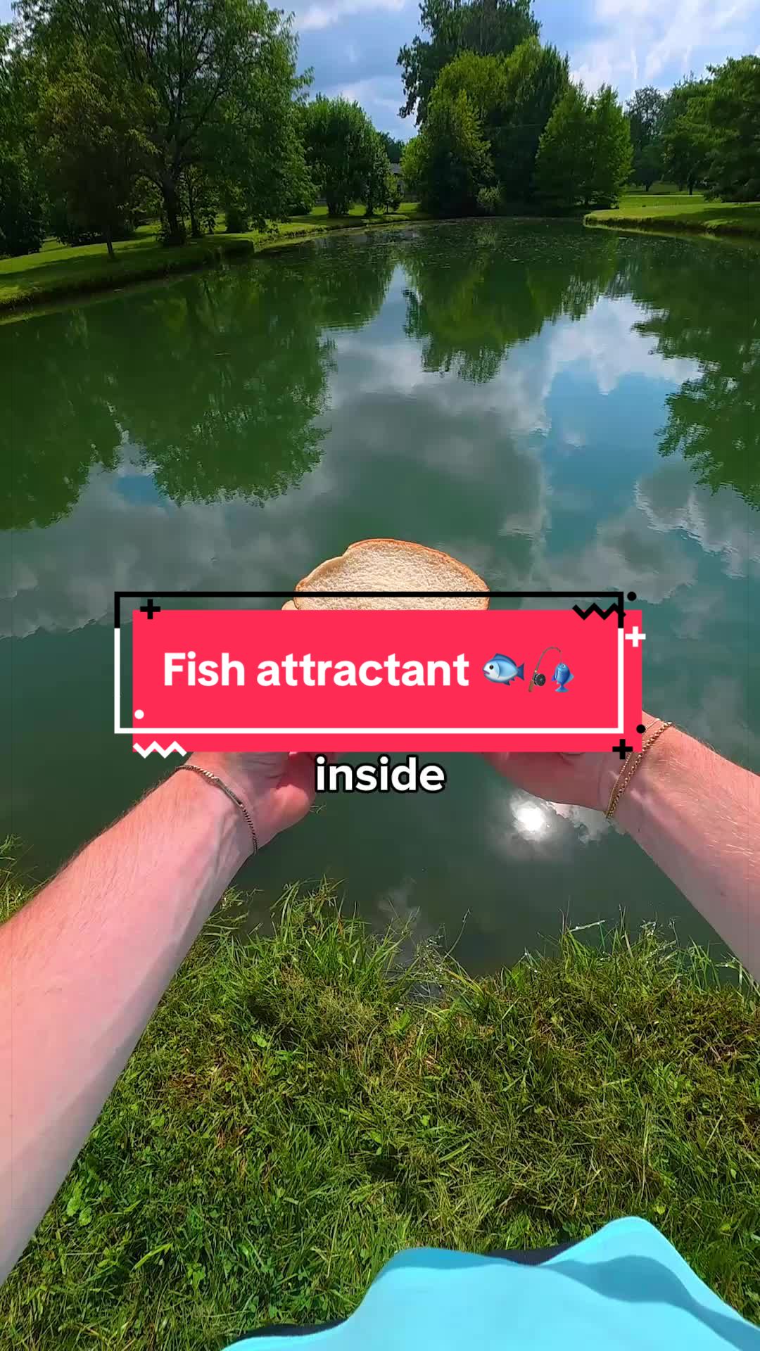 @Dryfly