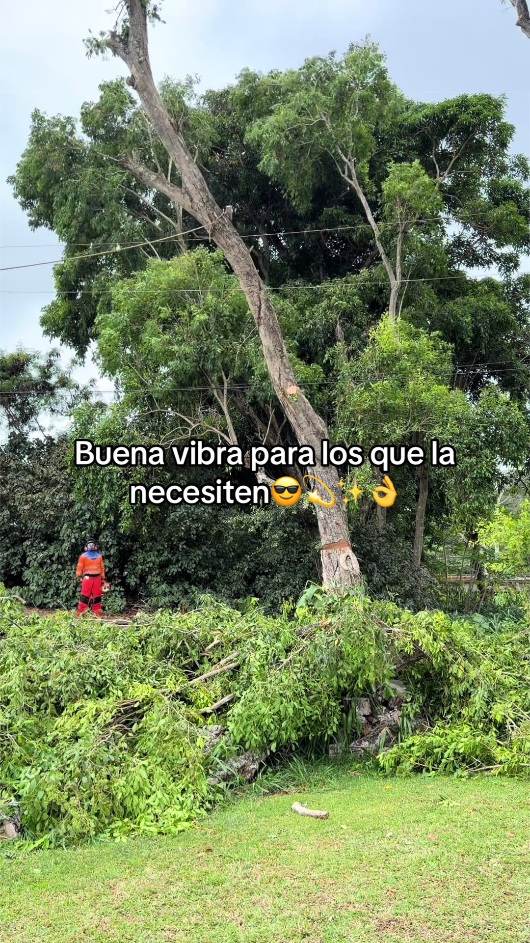 @Estrella C&oacute;smica