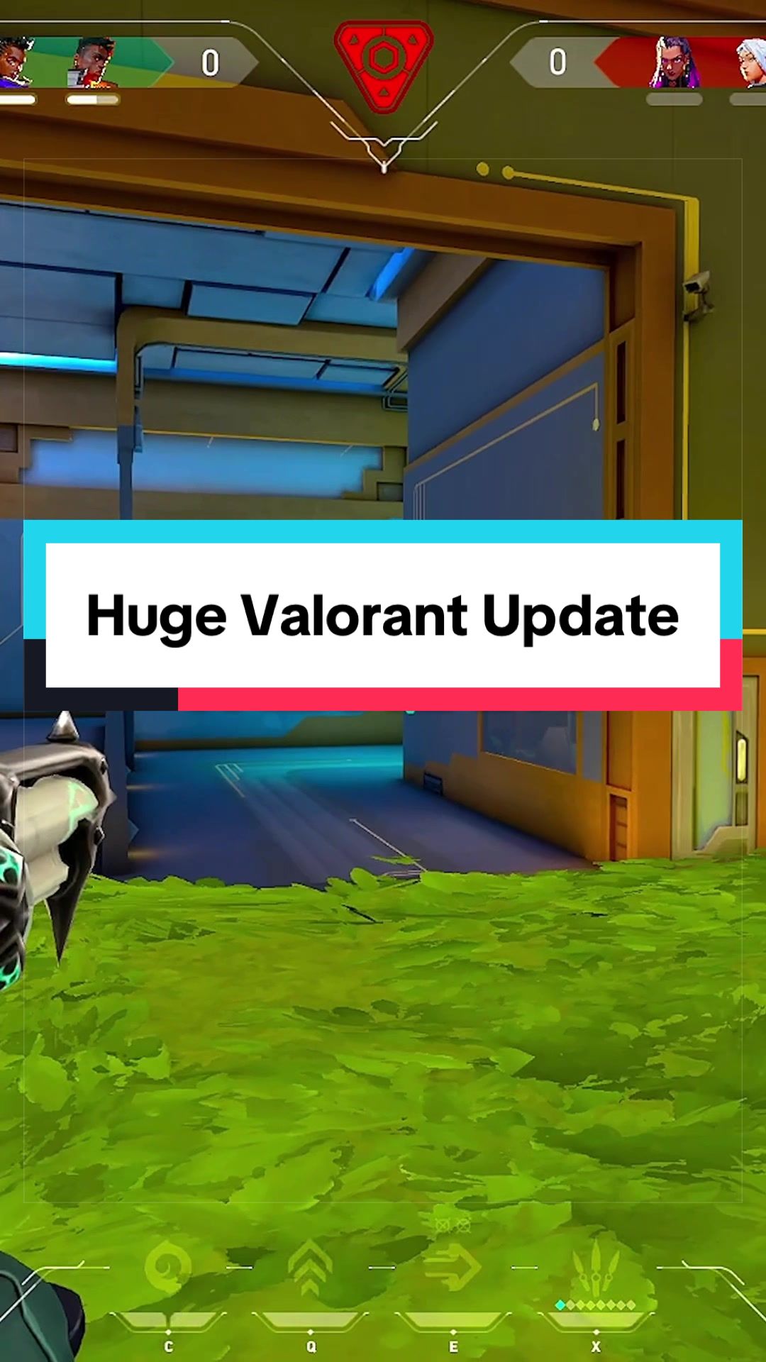 @AceroTM | Twitch