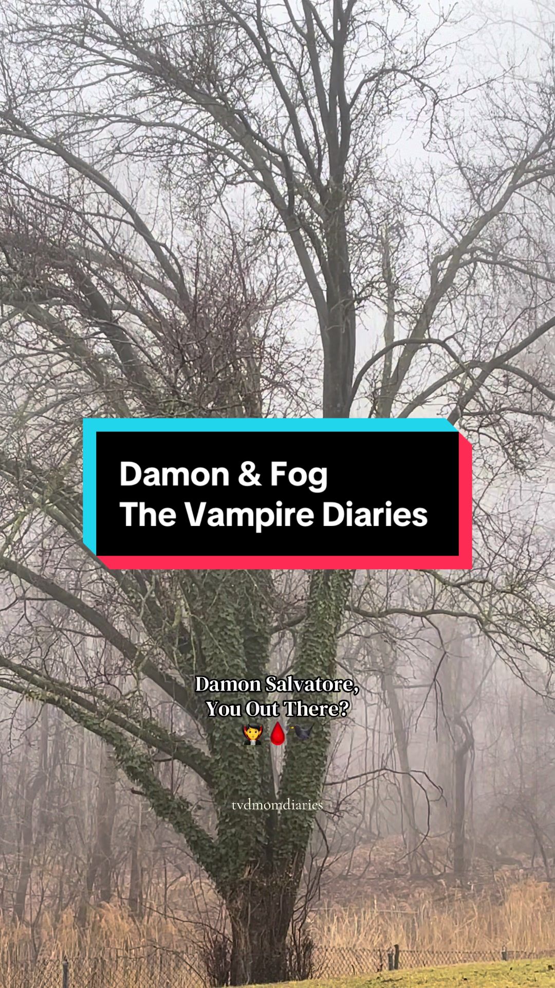 @TVD&ensp;Mom&ensp;Diaries