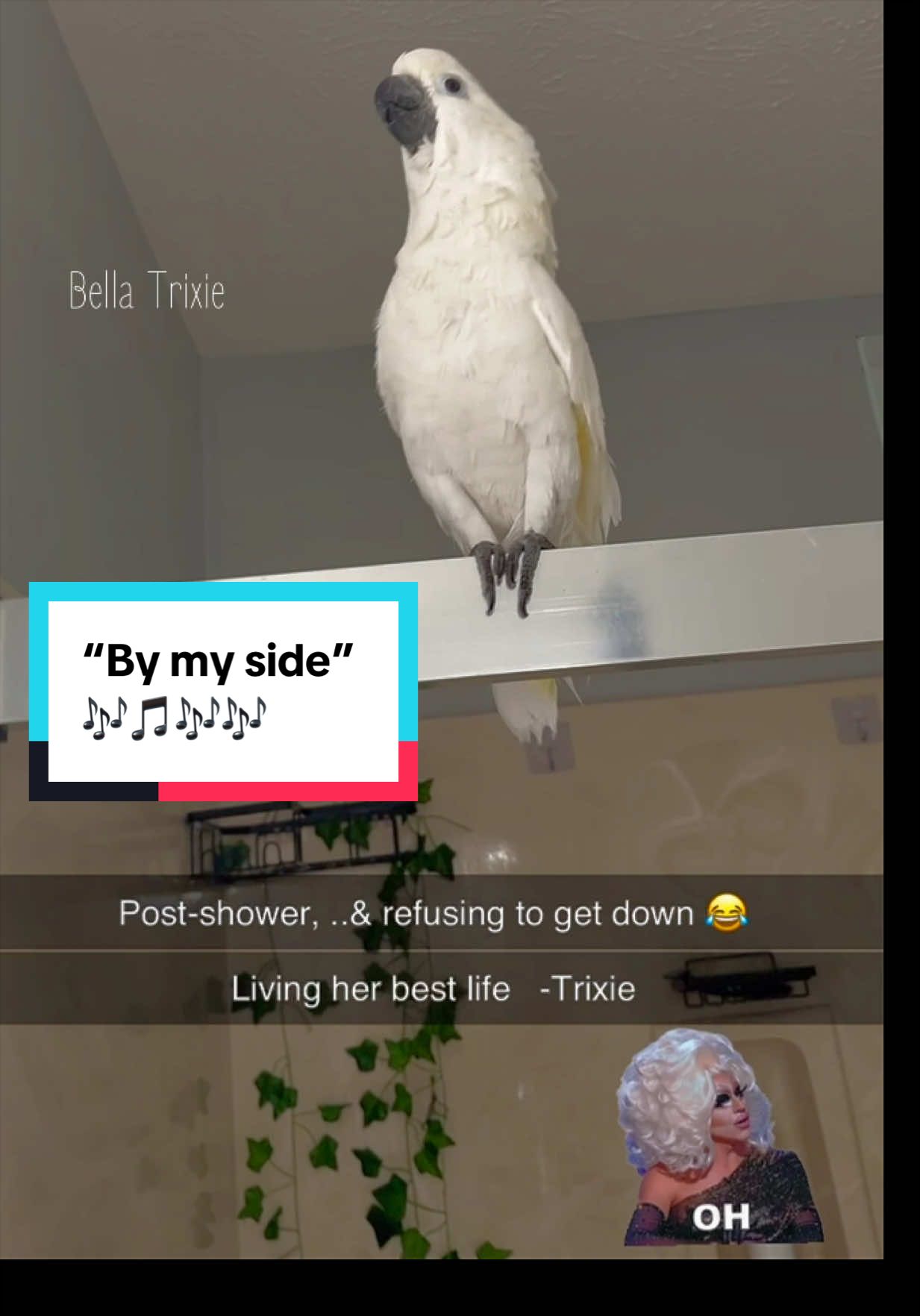 @bella_trixie_unleashed