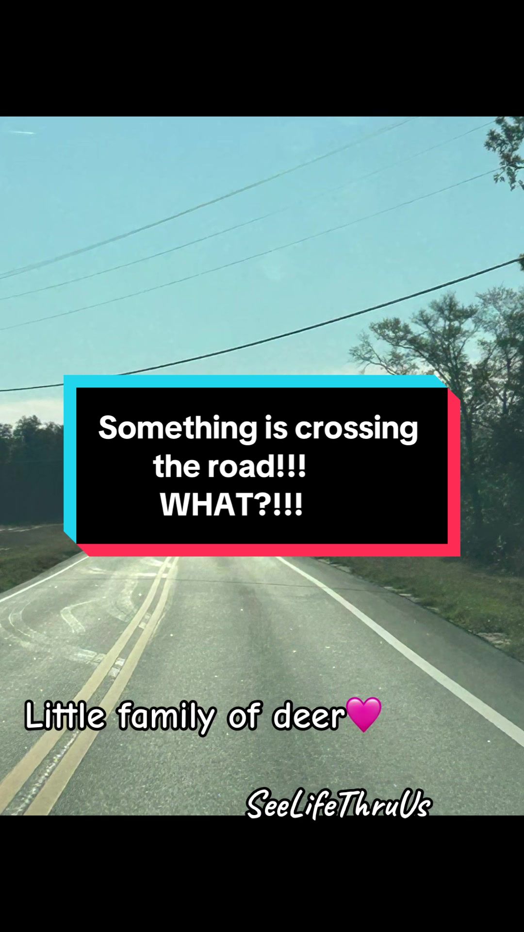 @SeeLifeThruUs✈️🌎🚘🐈&zwj;⬛🍳