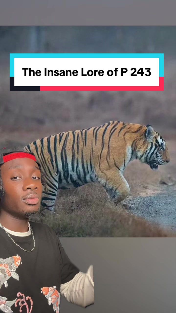 @mndiaye_97