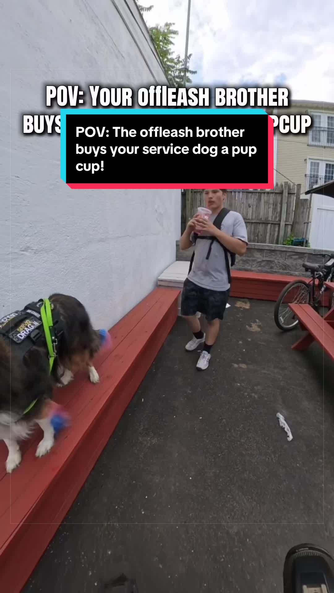 @Dakota & Pups