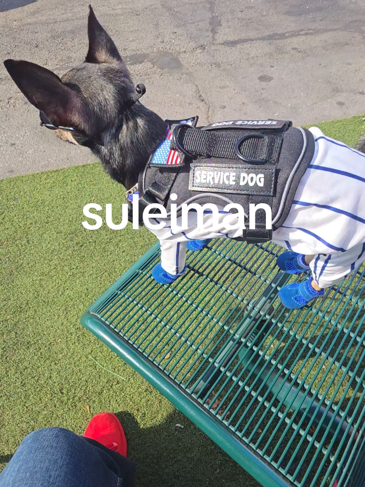 @suleiman 🐕