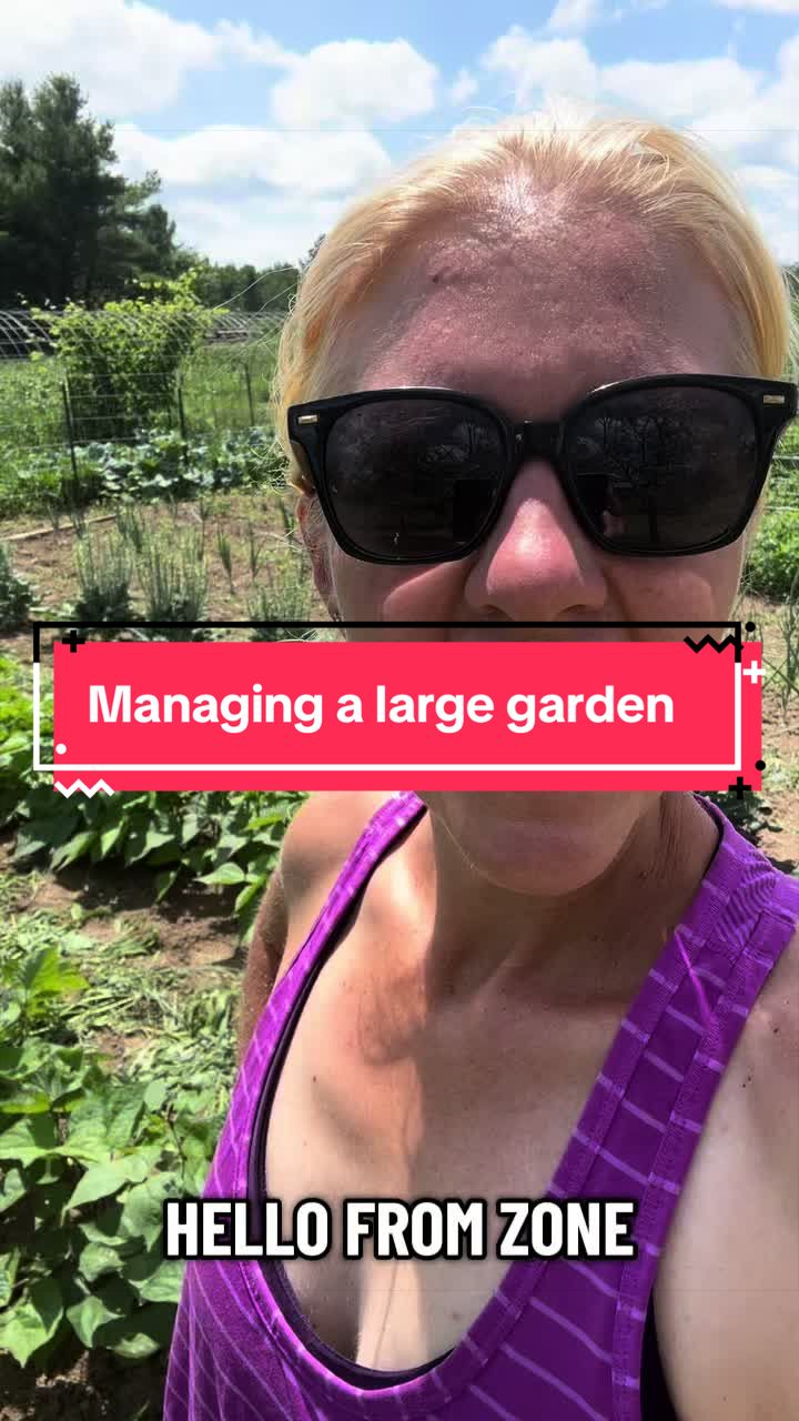 @littlesandycreekfarm