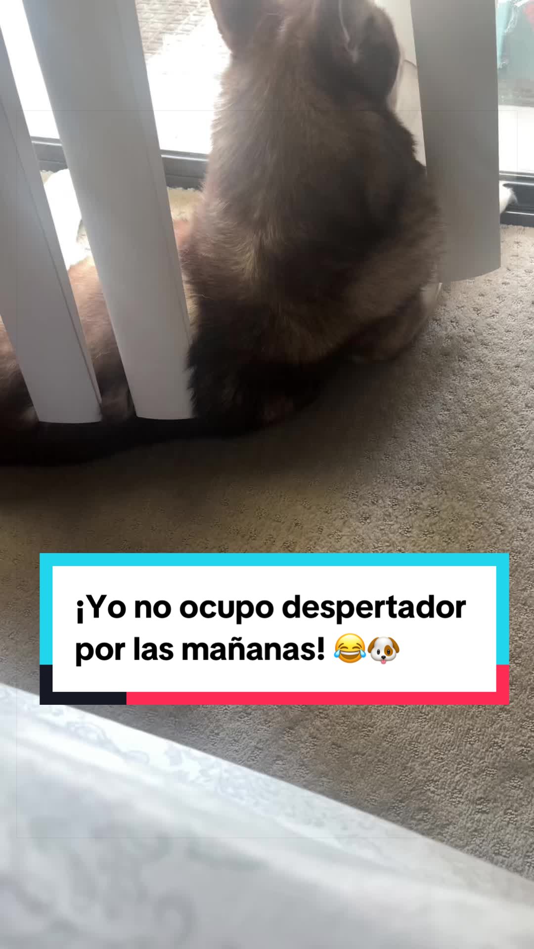 @Paola N-EM🧡